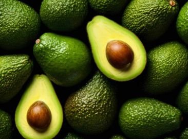 Fresh Organic Avocados